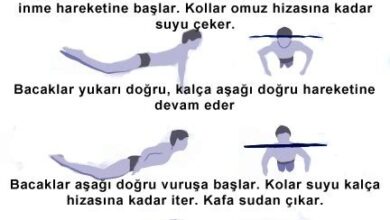 Yüzmede Kulvar Geçiş Teknikleri